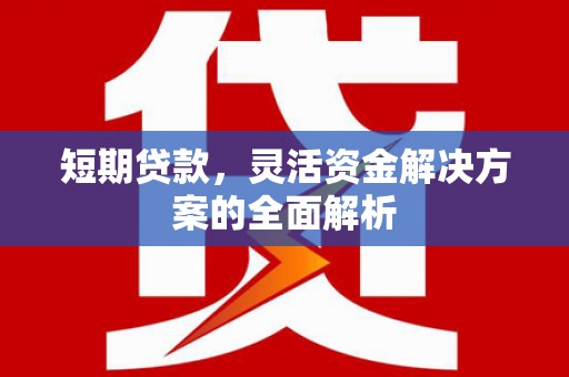 阿巴嘎旗短期贷款，灵活资金解决方案的全面解析