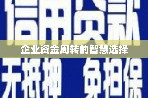 阿巴嘎旗企业资金周转的智慧选择