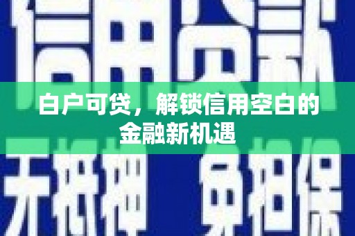 阿巴嘎旗白户可贷，解锁信用空白的金融新机遇