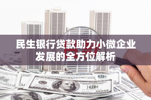 阿巴嘎旗民生银行贷款助力小微企业发展的全方位解析