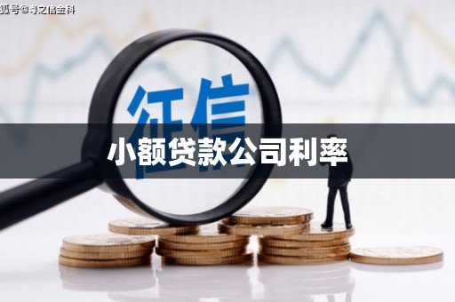 阿巴嘎旗小额贷款公司利率