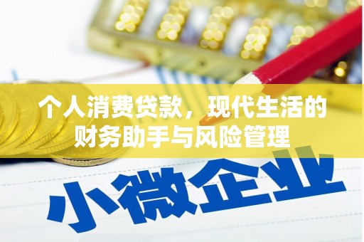 阿巴嘎旗个人消费贷款，现代生活的财务助手与风险管理