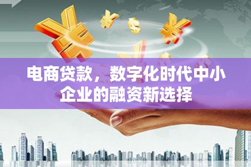阿巴嘎旗电商贷款，数字化时代中小企业的融资新选择