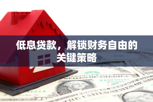 阿巴嘎旗低息贷款，解锁财务自由的关键策略
