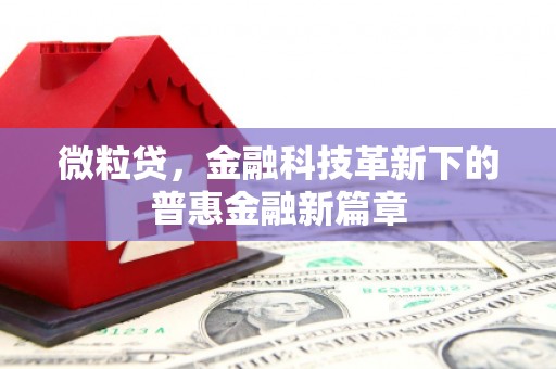 阿巴嘎旗微粒贷，金融科技革新下的普惠金融新篇章