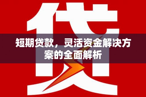 阿巴嘎旗短期贷款，灵活资金解决方案的全面解析