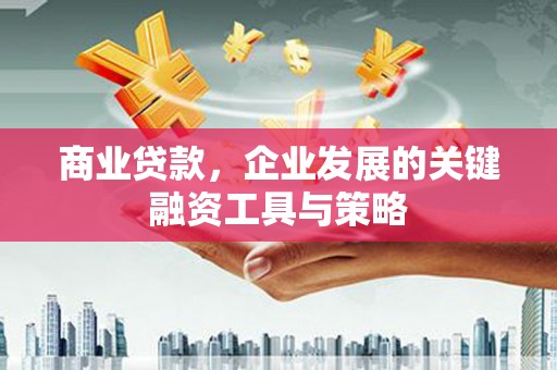 阿巴嘎旗商业贷款，企业发展的关键融资工具与策略