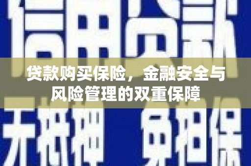 阿巴嘎旗贷款购买保险，金融安全与风险管理的双重保障