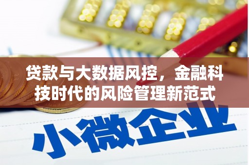 阿巴嘎旗贷款与大数据风控，金融科技时代的风险管理新范式