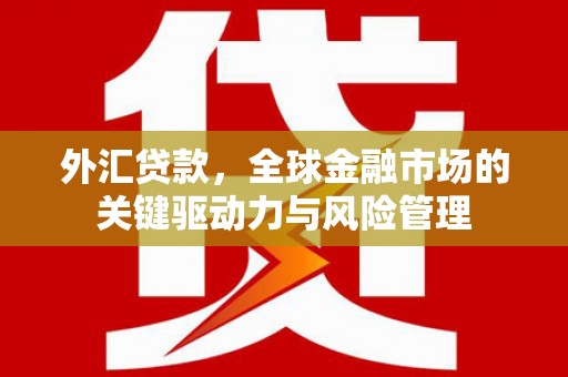阿巴嘎旗外汇贷款，全球金融市场的关键驱动力与风险管理