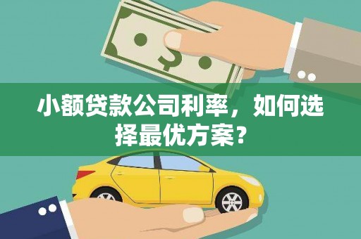 阿巴嘎旗小额贷款公司利率，如何选择最优方案？