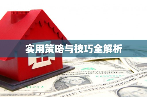 阿巴嘎旗实用策略与技巧全解析
