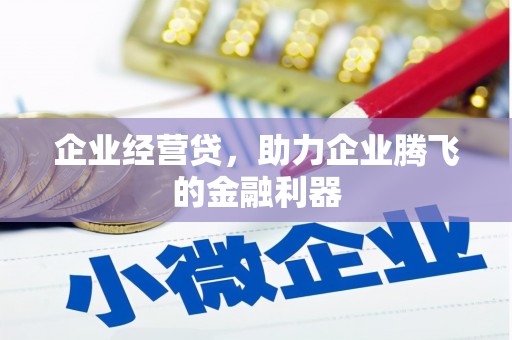 阿巴嘎旗企业经营贷，助力企业腾飞的金融利器