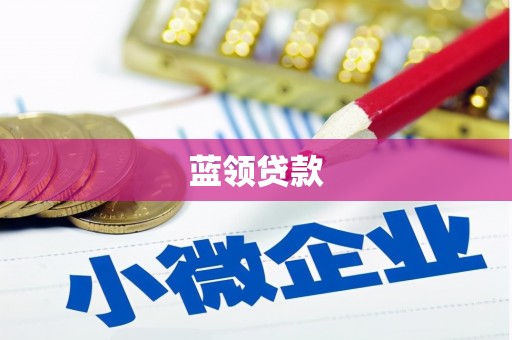 阿巴嘎旗蓝领贷款