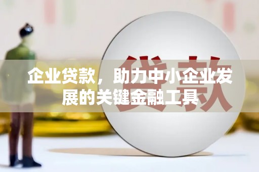 阿巴嘎旗企业贷款，助力中小企业发展的关键金融工具
