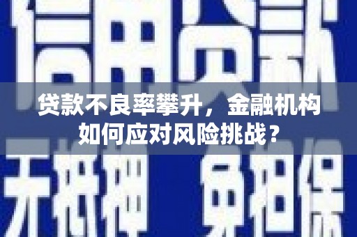 阿巴嘎旗贷款不良率攀升，金融机构如何应对风险挑战？