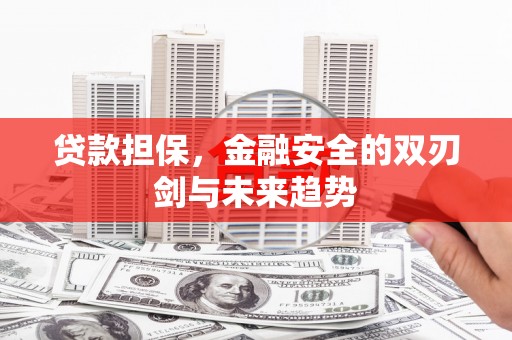 阿巴嘎旗贷款担保，金融安全的双刃剑与未来趋势