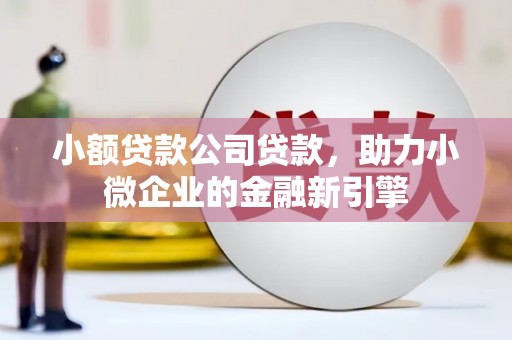 阿巴嘎旗小额贷款公司贷款，助力小微企业的金融新引擎