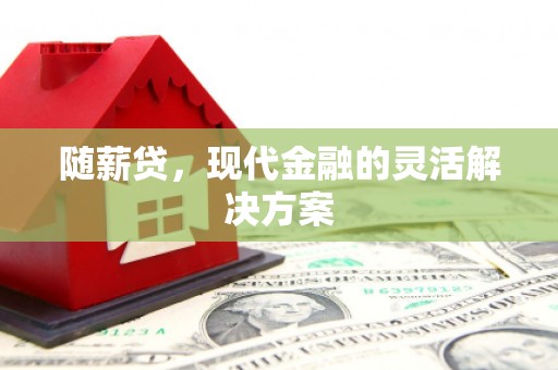 阿巴嘎旗随薪贷，现代金融的灵活解决方案