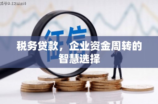 阿巴嘎旗税务贷款，企业资金周转的智慧选择