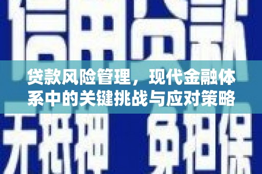 阿巴嘎旗贷款风险管理，现代金融体系中的关键挑战与应对策略