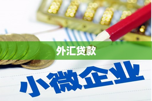 阿巴嘎旗外汇贷款