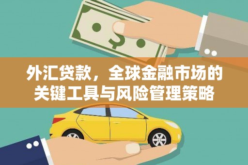阿巴嘎旗外汇贷款，全球金融市场的关键工具与风险管理策略
