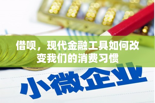 阿巴嘎旗借呗，现代金融工具如何改变我们的消费习惯