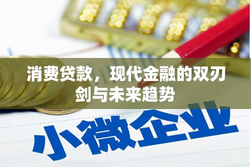 阿巴嘎旗消费贷款，现代金融的双刃剑与未来趋势