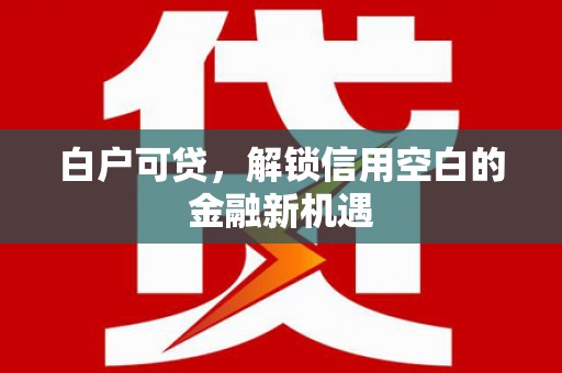 阿巴嘎旗白户可贷，解锁信用空白的金融新机遇
