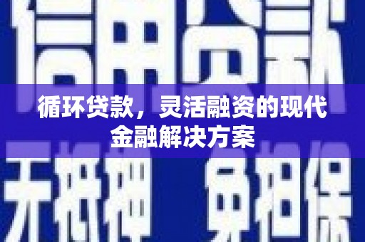 阿巴嘎旗循环贷款，灵活融资的现代金融解决方案
