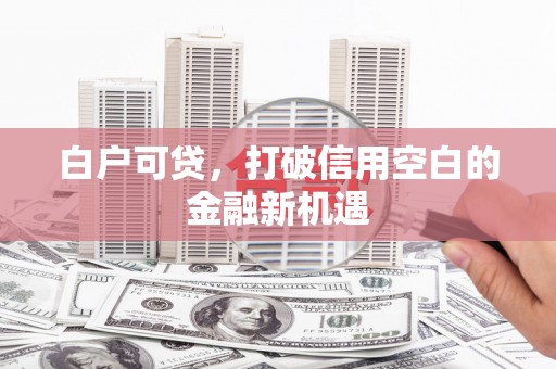 阿巴嘎旗白户可贷，打破信用空白的金融新机遇