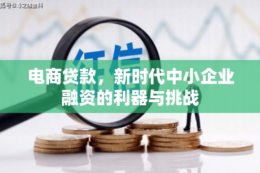 阿巴嘎旗电商贷款，新时代中小企业融资的利器与挑战