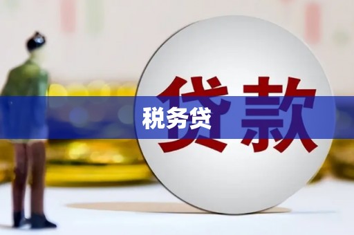 阿巴嘎旗税务贷
