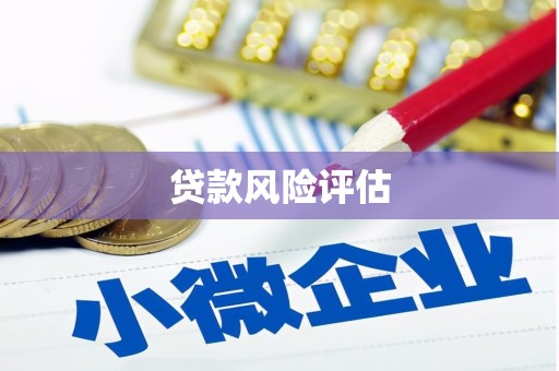 阿巴嘎旗贷款风险评估