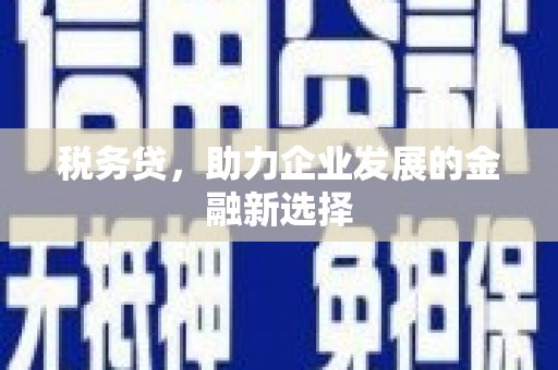 阿巴嘎旗税务贷，助力企业发展的金融新选择
