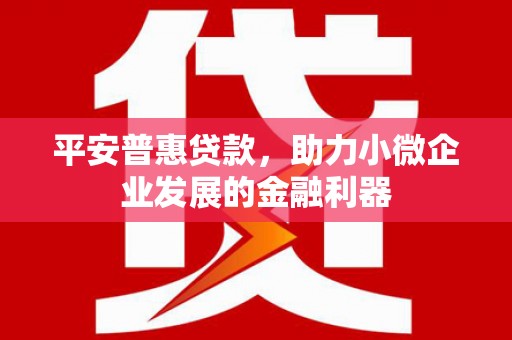 阿巴嘎旗平安普惠贷款，助力小微企业发展的金融利器