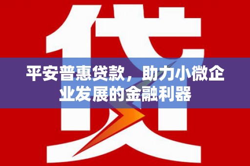 阿巴嘎旗平安普惠贷款，助力小微企业发展的金融利器