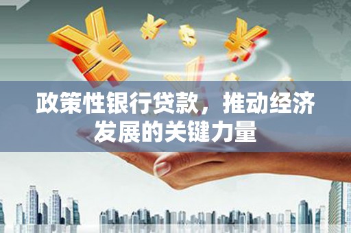 阿巴嘎旗政策性银行贷款，推动经济发展的关键力量