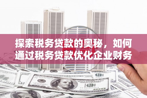 阿巴嘎旗探索税务贷款的奥秘，如何通过税务贷款优化企业财务