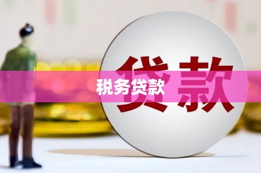 阿巴嘎旗税务贷款