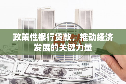 阿巴嘎旗政策性银行贷款，推动经济发展的关键力量