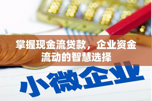 阿巴嘎旗掌握现金流贷款，企业资金流动的智慧选择
