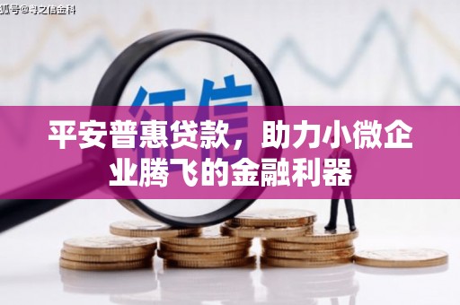 阿巴嘎旗平安普惠贷款，助力小微企业腾飞的金融利器