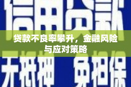 阿巴嘎旗贷款不良率攀升，金融风险与应对策略
