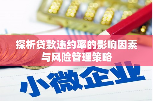 阿巴嘎旗探析贷款违约率的影响因素与风险管理策略