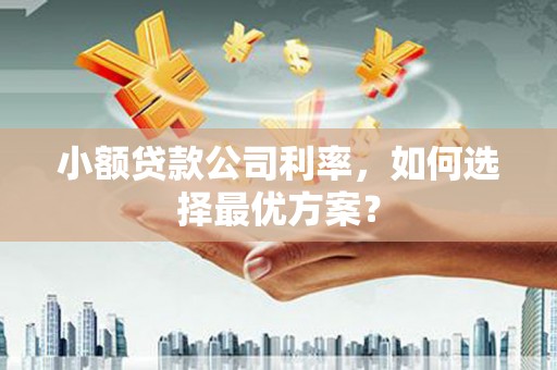 阿巴嘎旗小额贷款公司利率，如何选择最优方案？