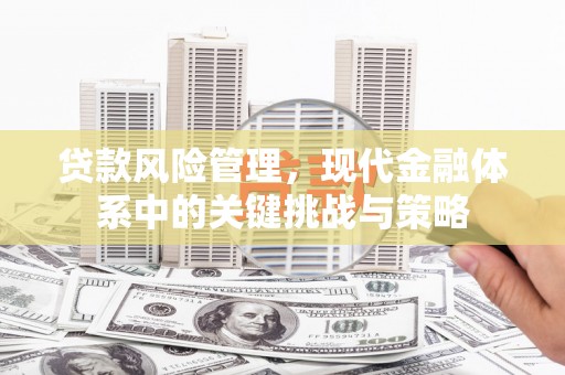 阿巴嘎旗贷款风险管理，现代金融体系中的关键挑战与策略