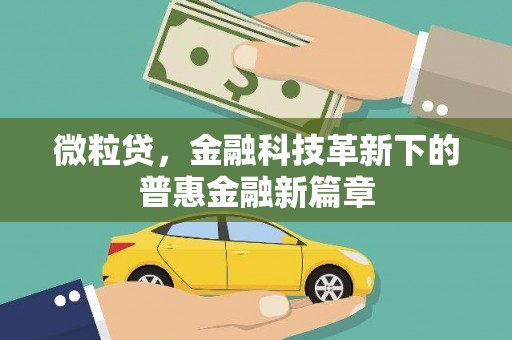 阿巴嘎旗微粒贷，金融科技革新下的普惠金融新篇章