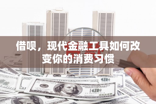 阿巴嘎旗借呗，现代金融工具如何改变你的消费习惯